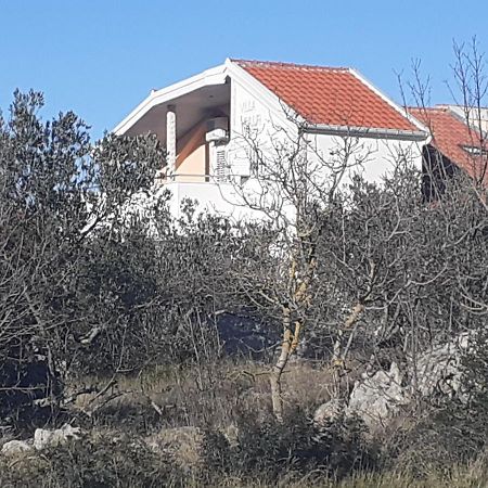 Villa Palfi Jezera Exterior foto